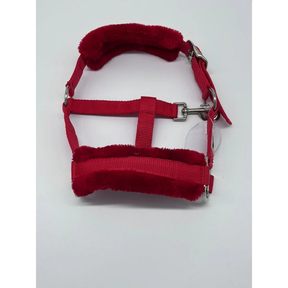 Shetland-Miniature Head Collar With Matching Fur - Image 6