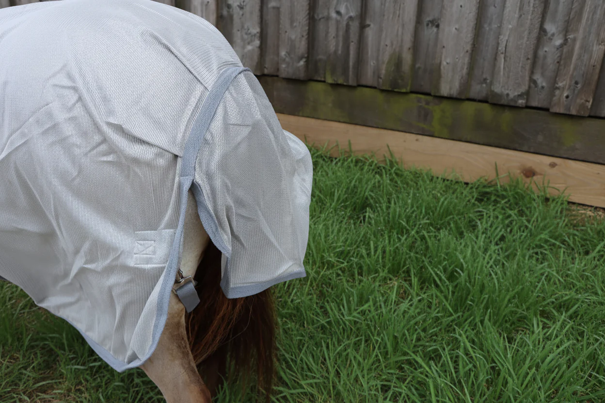 Shetland-Miniature Lightweight Combo Fly Rug With Ear Holes (160g mesh) - Image 6