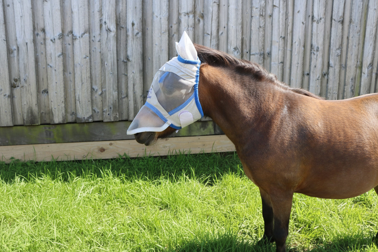 Shetland-Miniature-Section A Fly Mask - Image 3