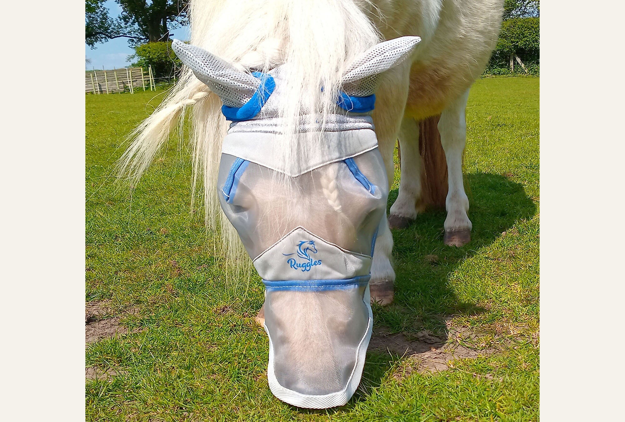 Shetland-Miniature-Section A Fly Mask - Image 7