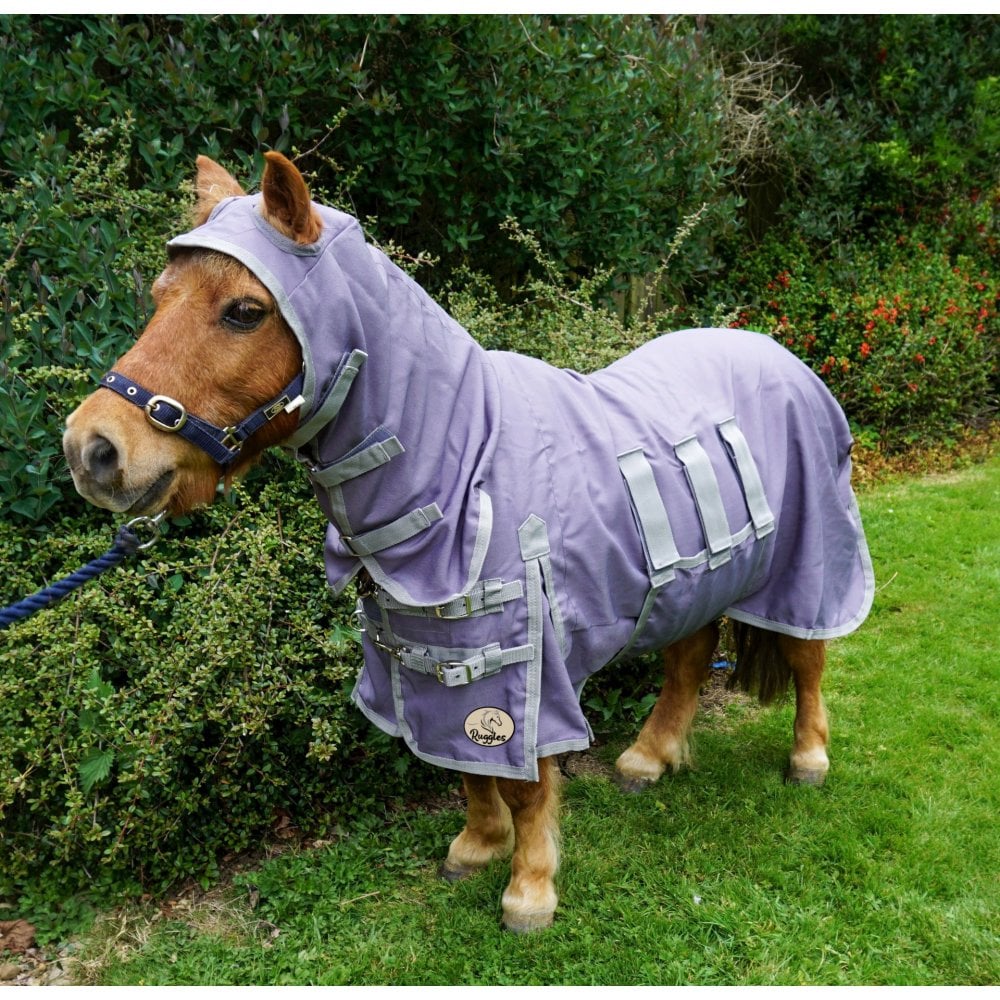 Shetland - Miniature UV Fly Rug Combo - Image 4