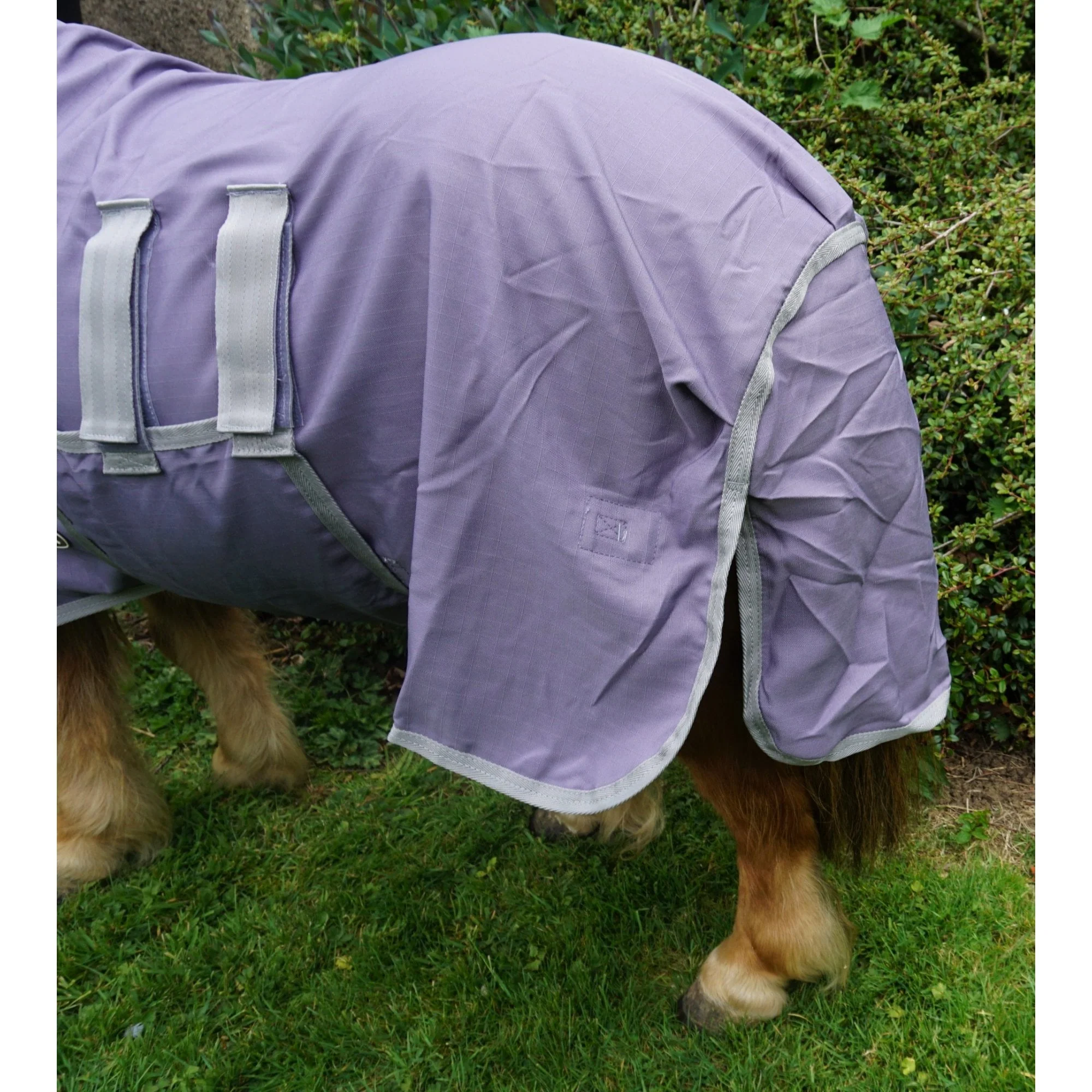 Shetland - Miniature UV Fly Rug Combo - Image 5