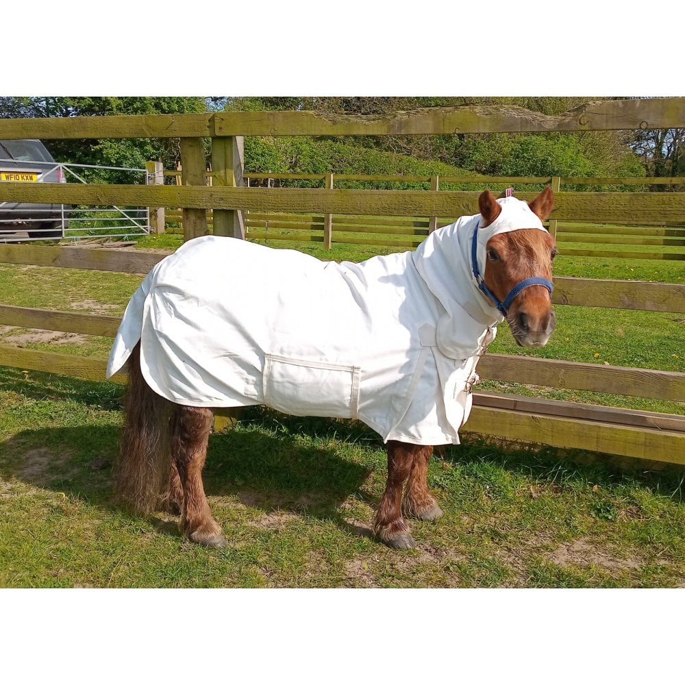Shetland - Miniature UV Fly Rug Combo - Image 6