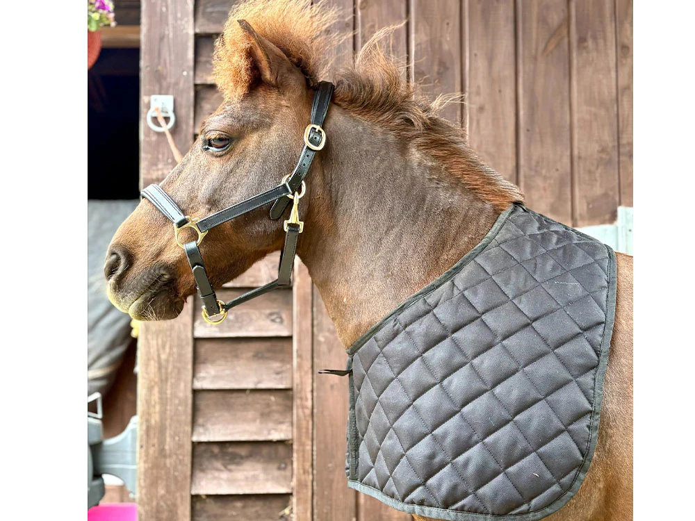 Shetland Quilted Anti Rub Bib - Shoulder Guard - Image 3