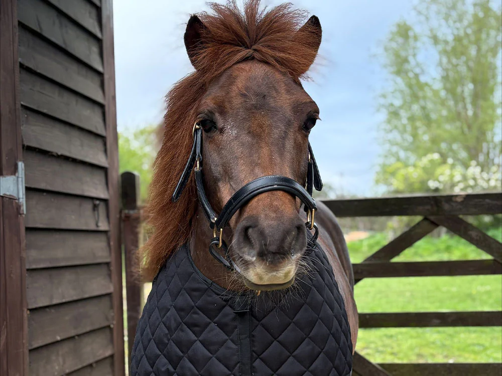 Shetland Quilted Anti Rub Bib - Shoulder Guard - Image 4