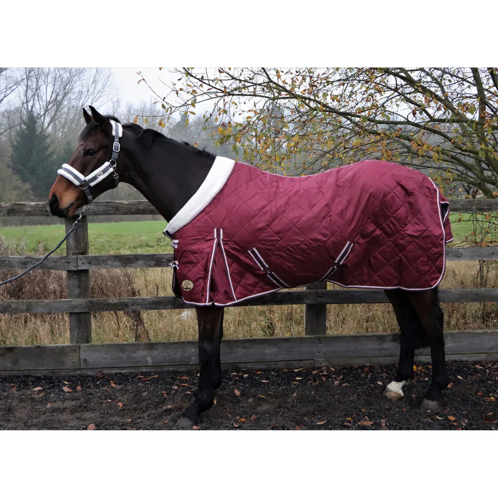 Shop Soiled 50g Stable Rug