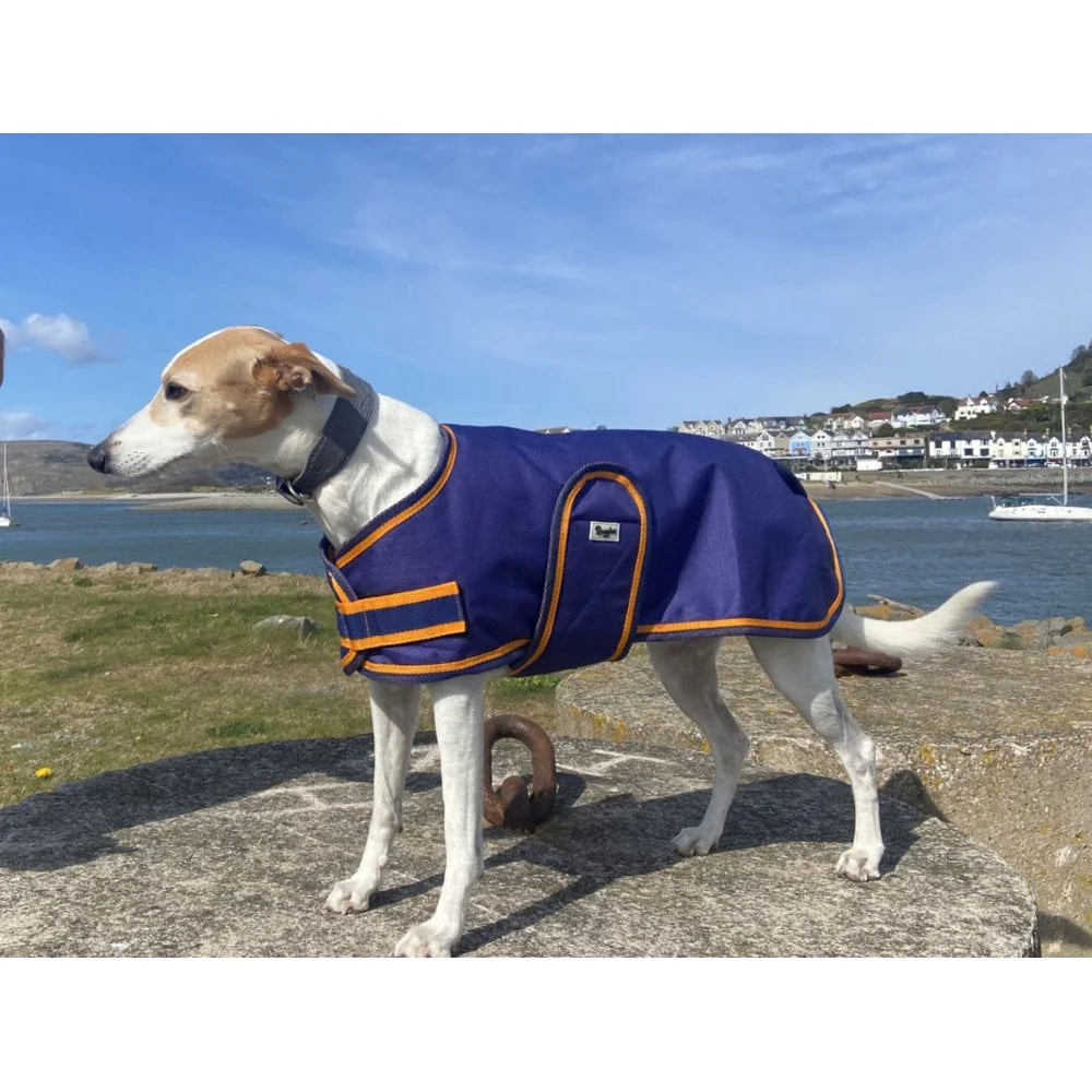 Shop Soiled Dog Coat - Image 3
