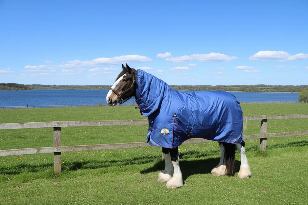 Shop Soiled Heavy Horse 6'9 280g Navy Combo Turnout Rug