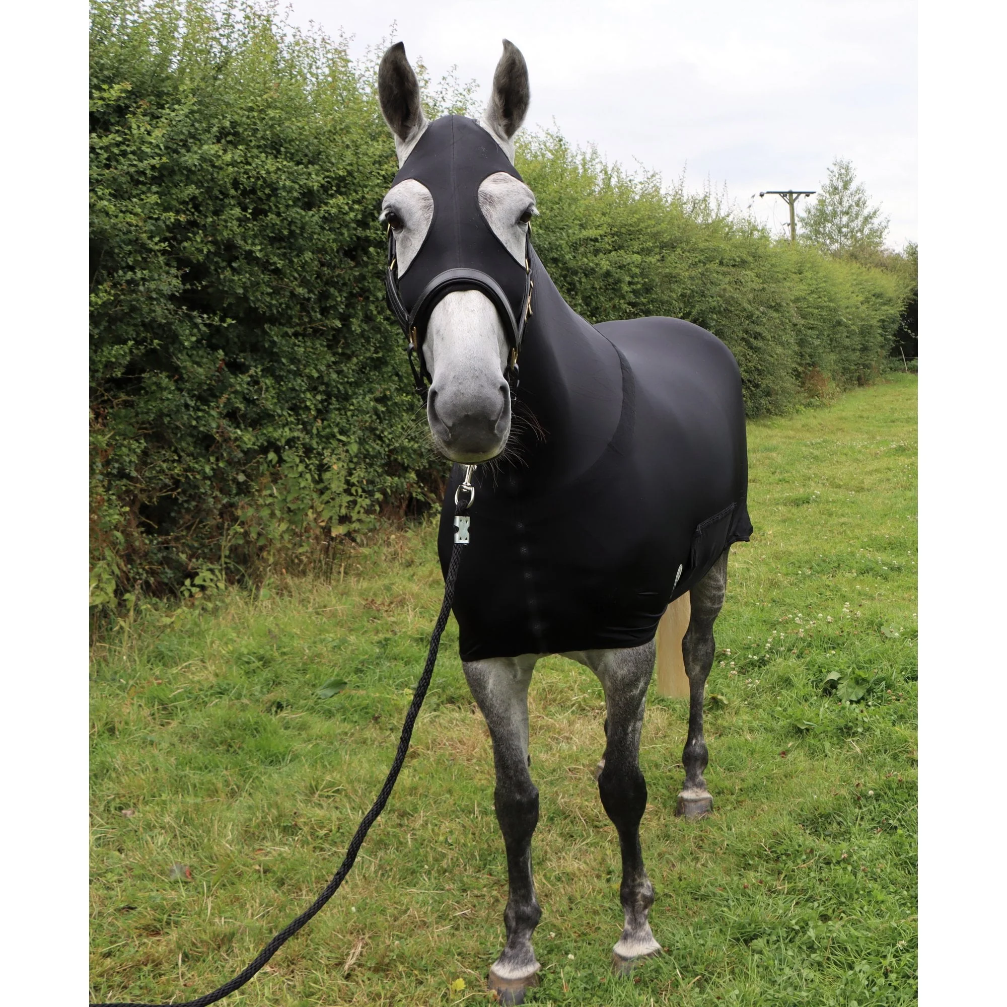 Water Repellent Lycra Body With Tail Sleeve And Full Length Zip - Image 7