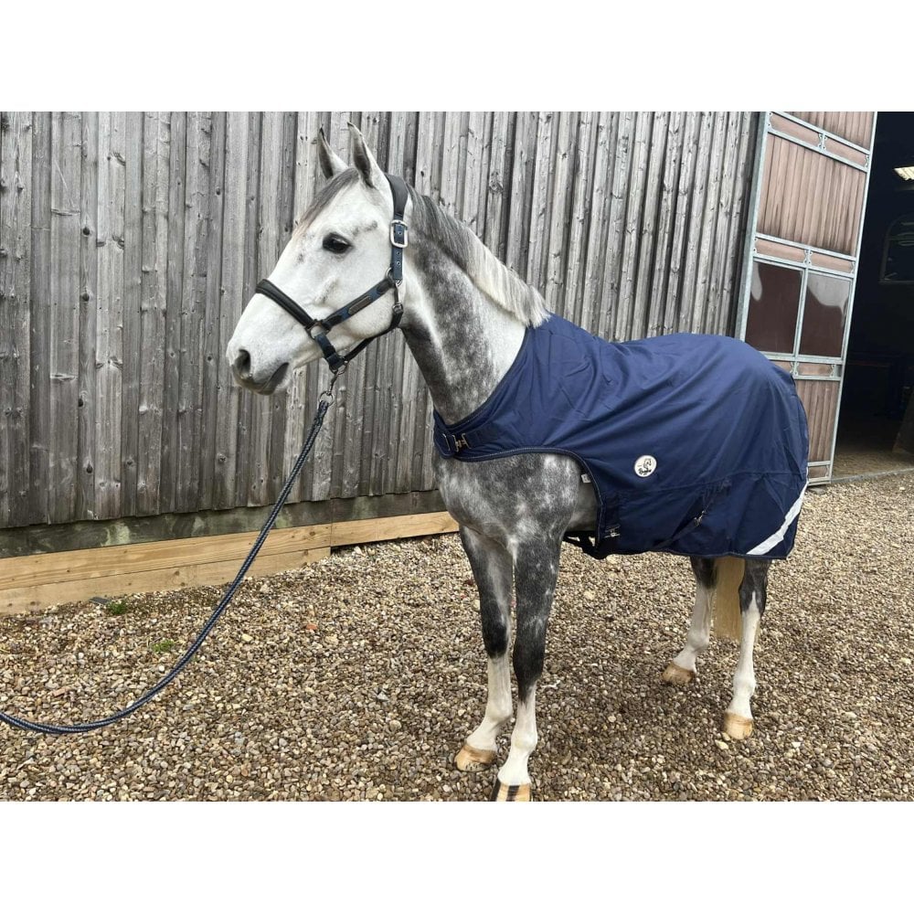Waterproof Fleece Lined Walker Rug - Image 5